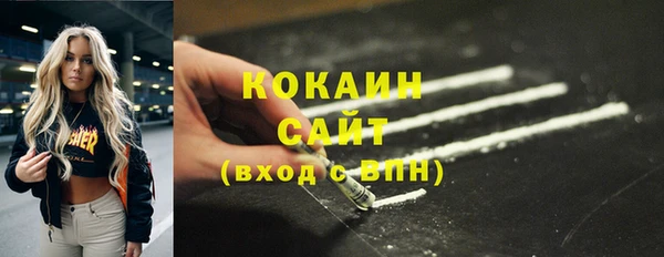 mix Бородино