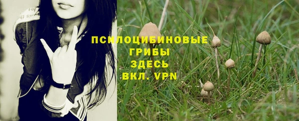 шишки Бронницы