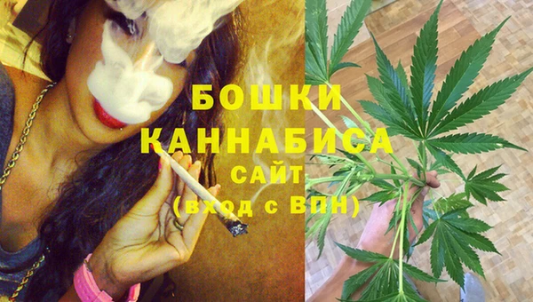 шишки Бронницы