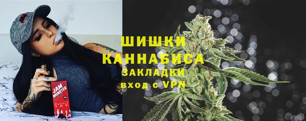 mix Бородино