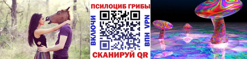 Псилоцибиновые грибы ЛСД  купить  цена  кракен сайт  Вихоревка 
